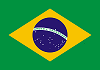 File:Brazil Flag.png