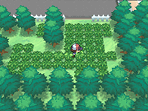 File:BW Prerelease grass.png