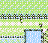 File:Skip rival Route 22.png