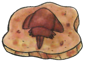 File:RG Dome Fossil.png