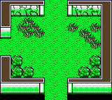 File:TCG GB2 GR Grass Fort Lobby.png