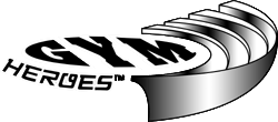 File:Gym Heroes Logo.png