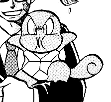 File:Kamero Squirtle.png