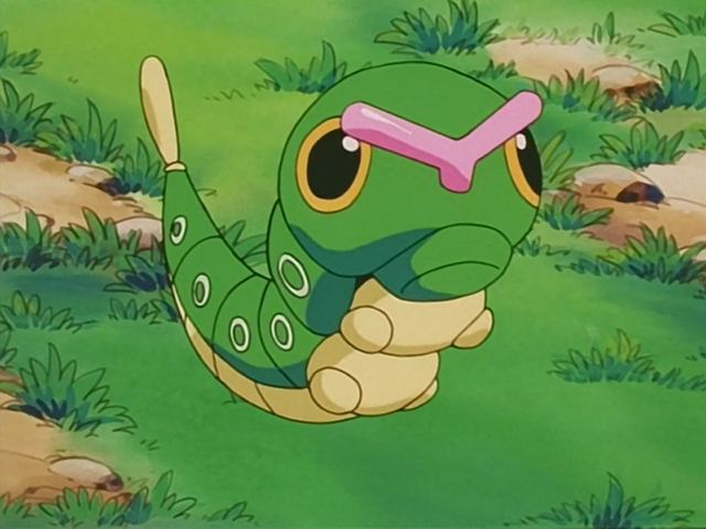File:Bucky Caterpie.png