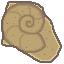 Mine Helix Fossil 3.png