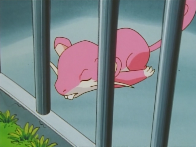 File:Pink Rattata.png