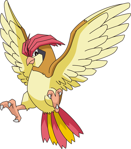 File:017Pidgeotto XY anime.png