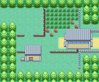 File:Kanto Route 7 FRLG.png
