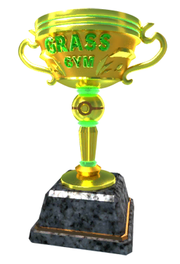 File:Duel Trophy Grass Gold.png