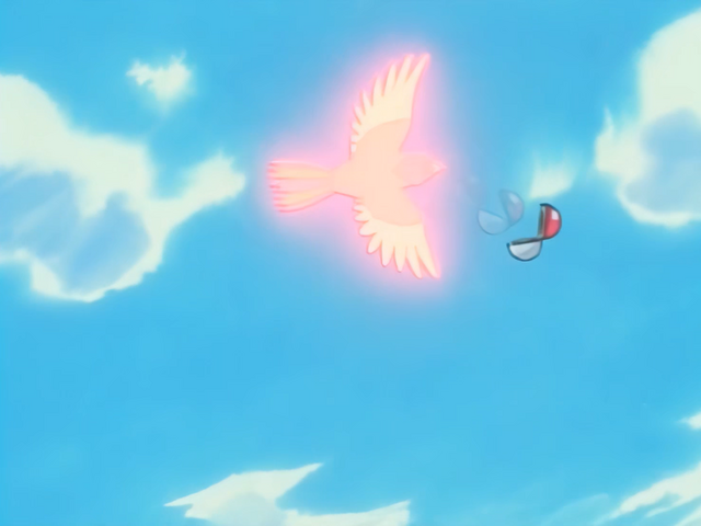 File:Ash catching Pidgeotto.png