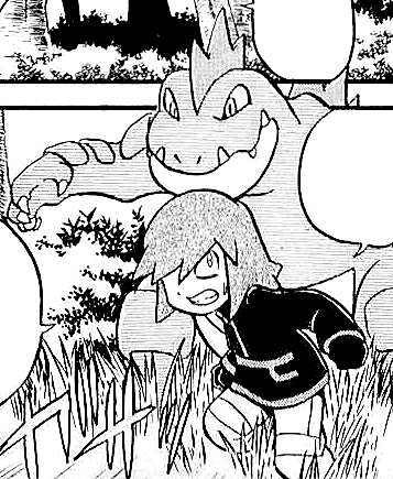File:Silver and Feraligatr.png