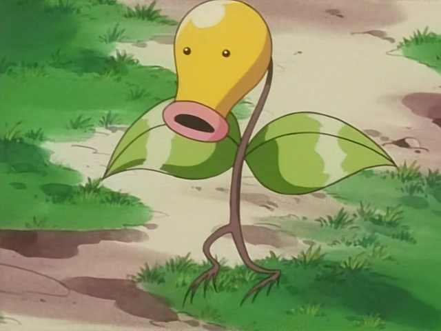 File:Old Man Shuckle Spoopy.png