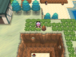 File:Unova Route 18 Spring BW.png