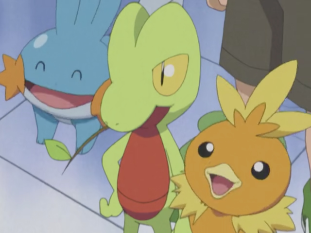 File:Hoenn first partners anime.png