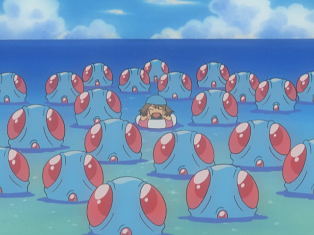 File:May fear of Tentacool.png
