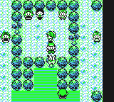 File:Yellow Pikachu tree Cooltrainer glitch.png