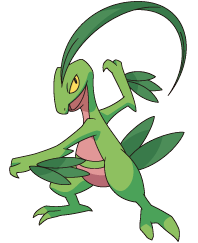 File:253Grovyle AG 2.png
