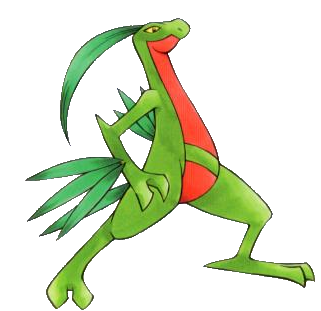 File:Grovyle BET.png