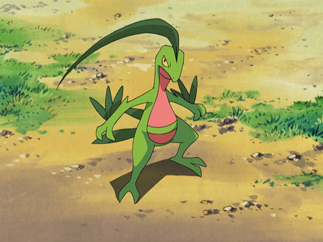 File:Ash Grovyle.png