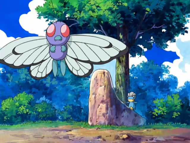 File:Fennel Valley Butterfree.png