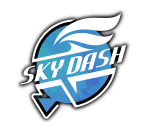 File:Sky Dash icon.png