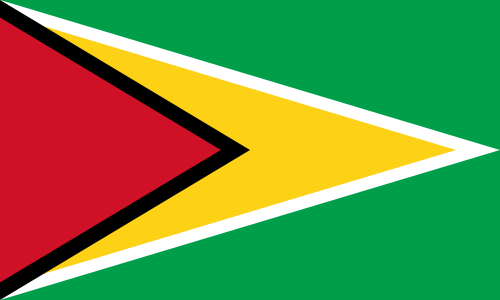 File:Guyana Flag.png