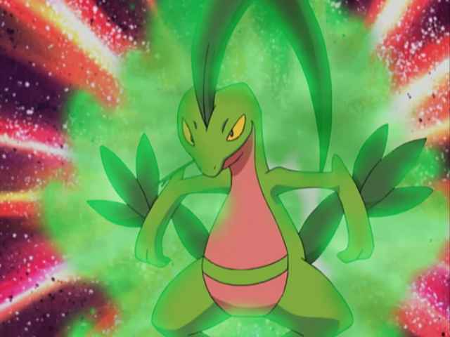 File:Ash Grovyle Overgrow.png