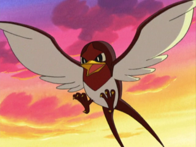 File:Ash Taillow.png