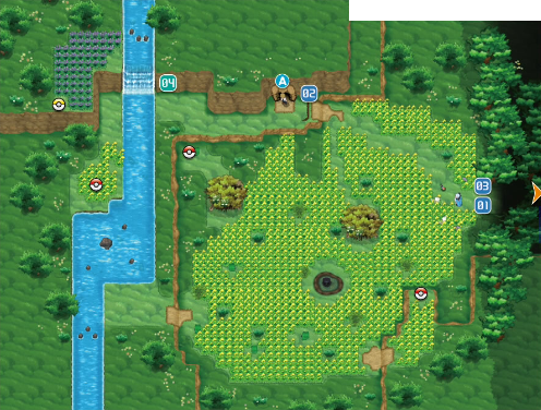 File:Pokémon Village XY.png