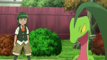 File:Sawyer and Grovyle.png