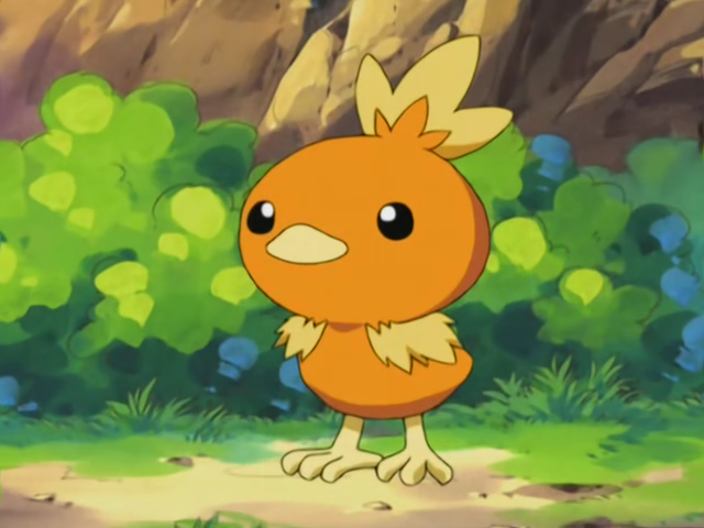 File:May Torchic.png