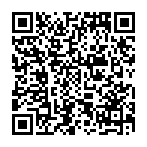 File:Special QR Code Dhelmise.png