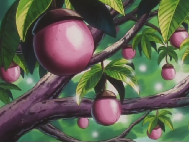 File:Pnk Apricorn anime.png
