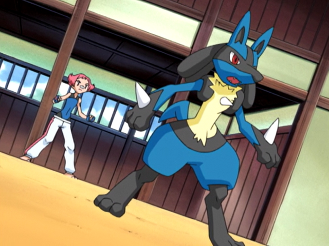 File:Maylene and Lucario.png