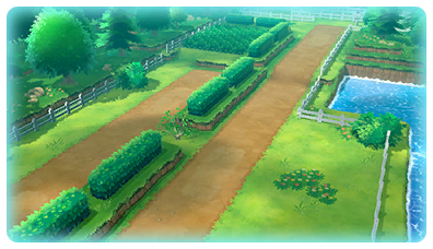 File:Kanto Route 14 PE.png