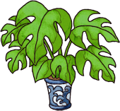 File:DW House Plant.png