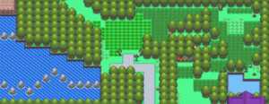 Sinnoh Route 229 DP.png