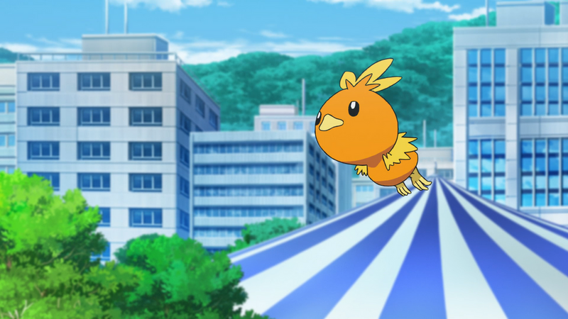 File:Harmony Torchic.png
