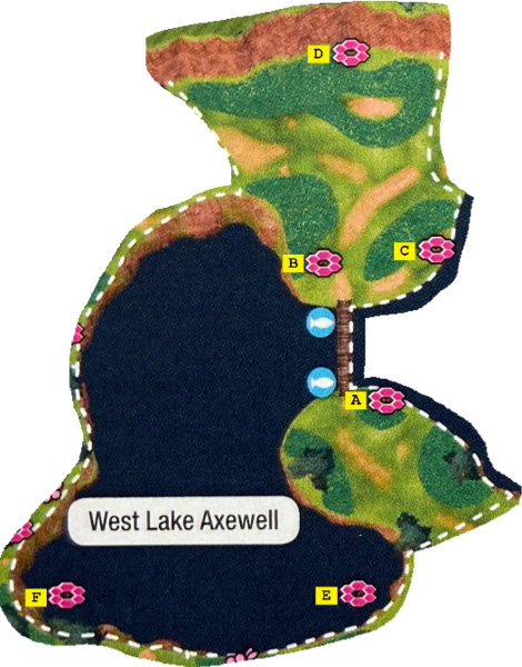 File:Galar West Lake Axewell dens SwSh.png