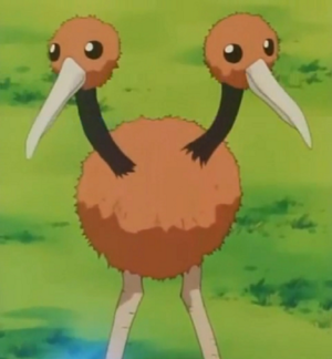 Doduo anime.png