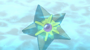 Roy hometown Staryu.png