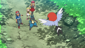 XY033 error.png