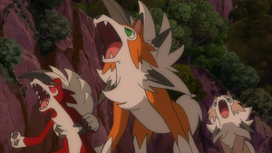 Lycanroc anime.png