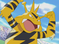 Macy Electabuzz.png