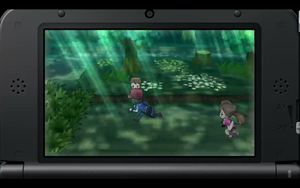 XY Prerelease forest.png