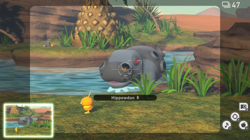 File:New Pokémon Snap Female Hippowdon.png