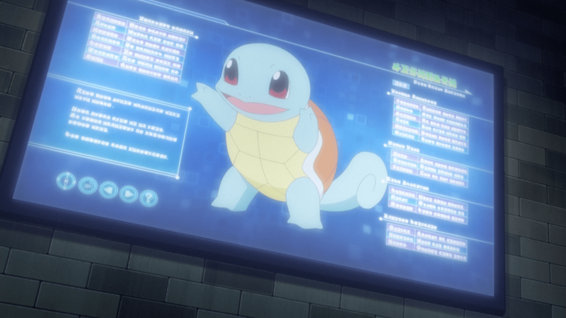 File:Oak Squirtle PO.png