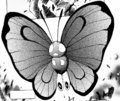 Ash Butterfree EToP.png