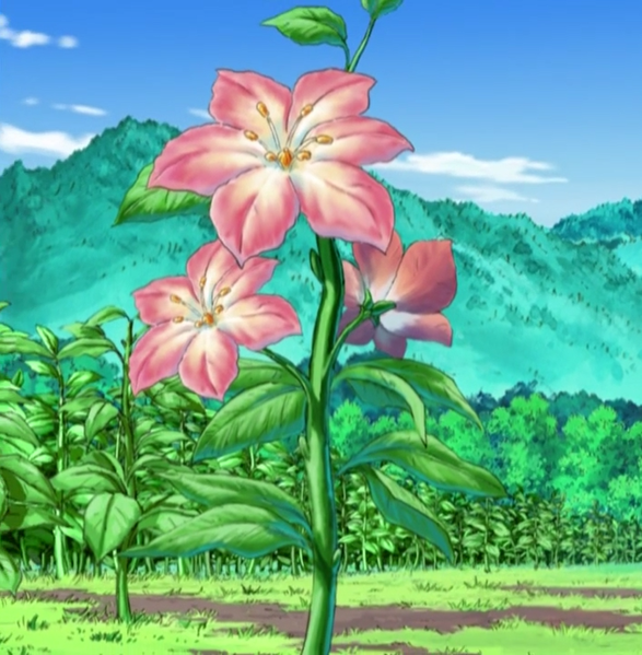 File:Gracidea flower anime.png