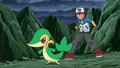 Ash and Snivy.png